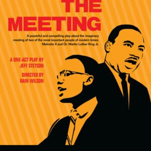 The meeting play poster